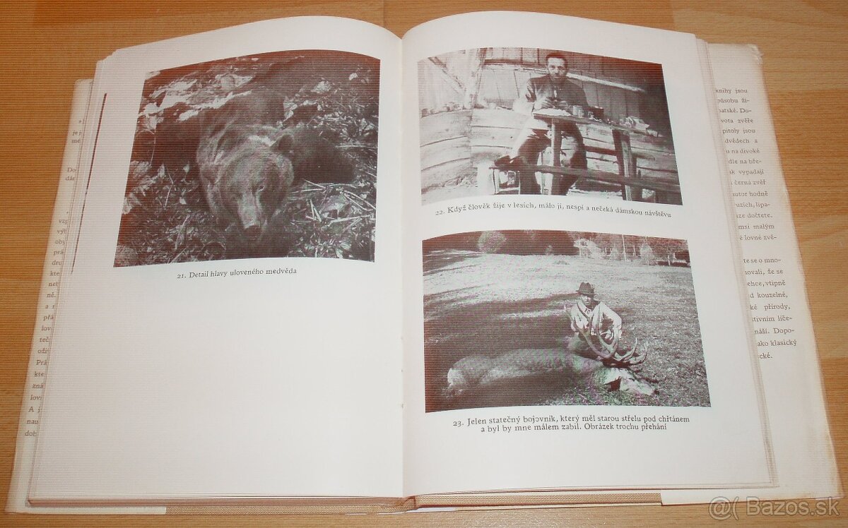 Lovy v Karpatech - 14