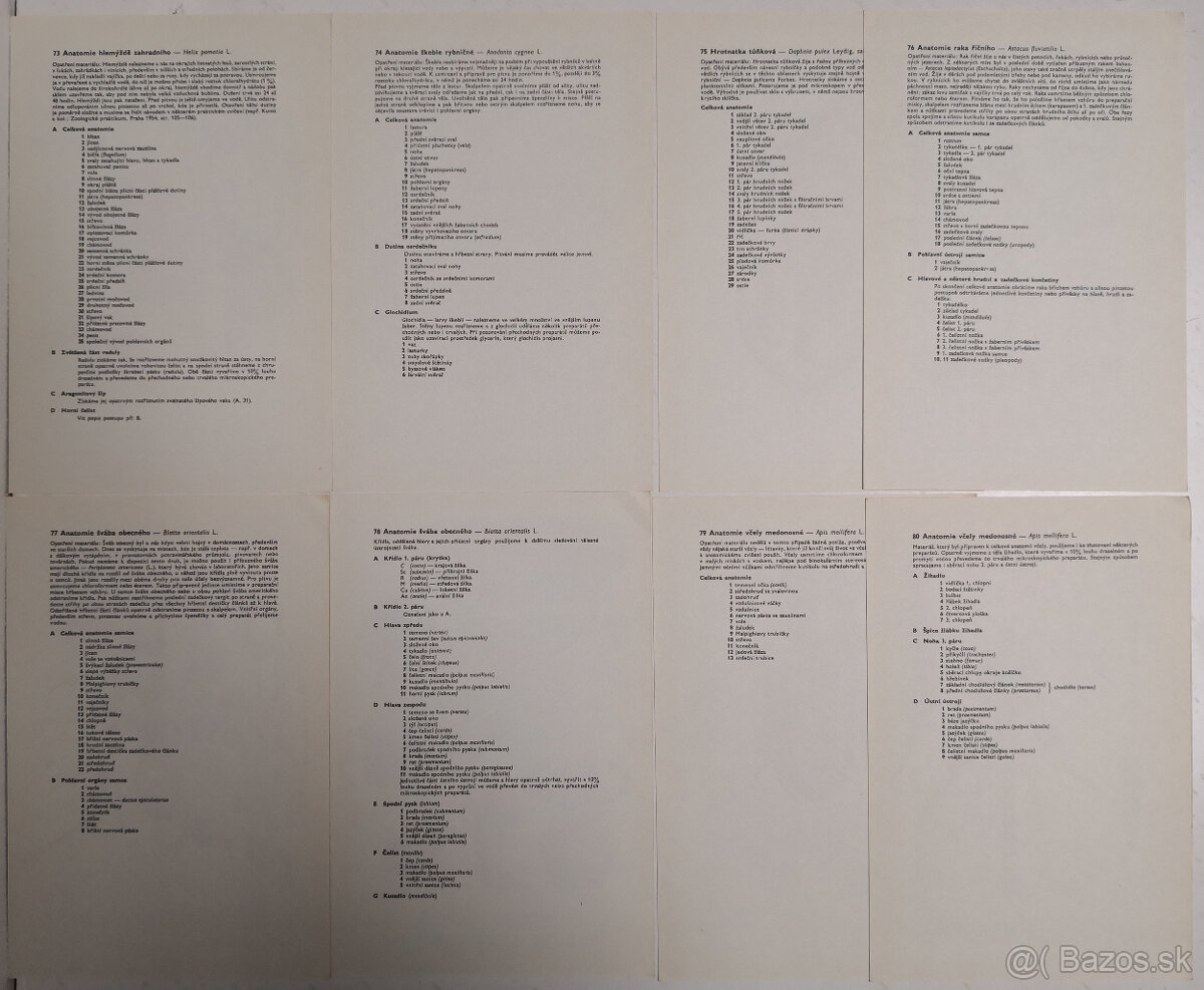 Atlas bezobratlých - 14