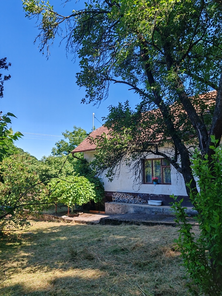 Na predaj rodinný dom pod lesom - 14