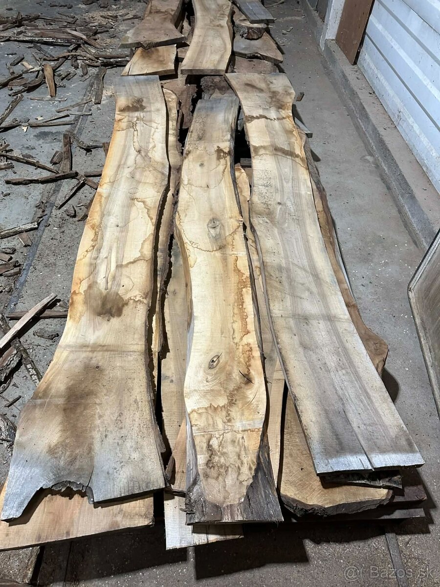 Vysušené orechové dosky, orech, VÝPREDAJ - 14