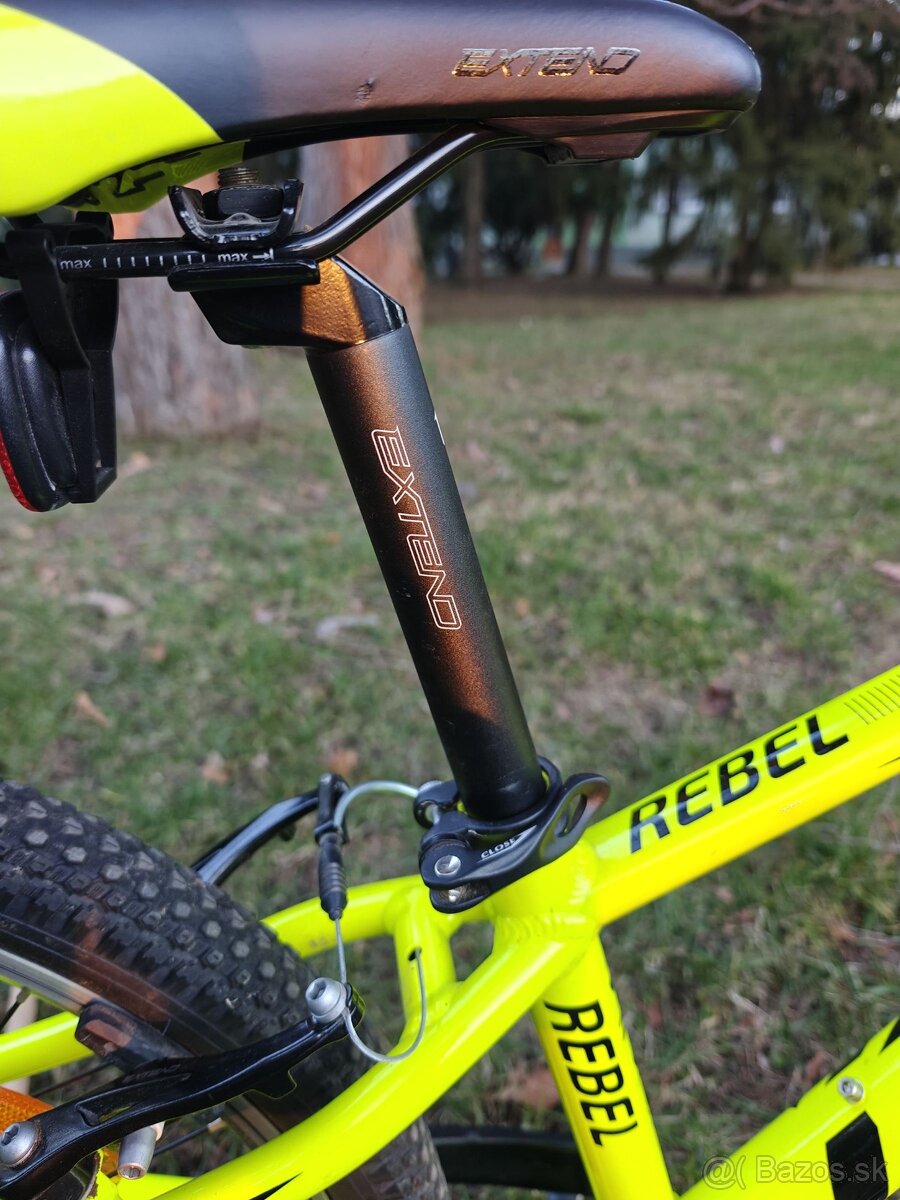 DEMA Rebel 24" - 14