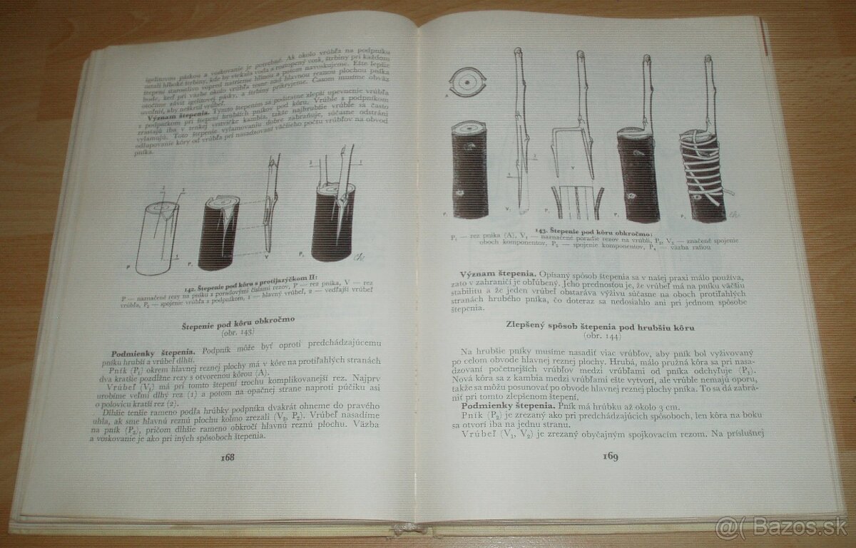 Štepenie, očkovanie a preštepovanie drevín - 14