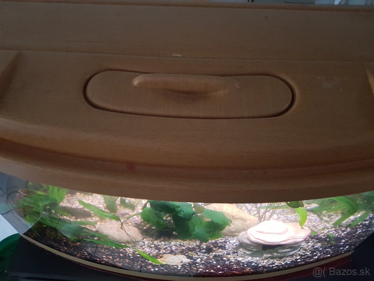 zabehnuté 54 litrové akvárium - 14