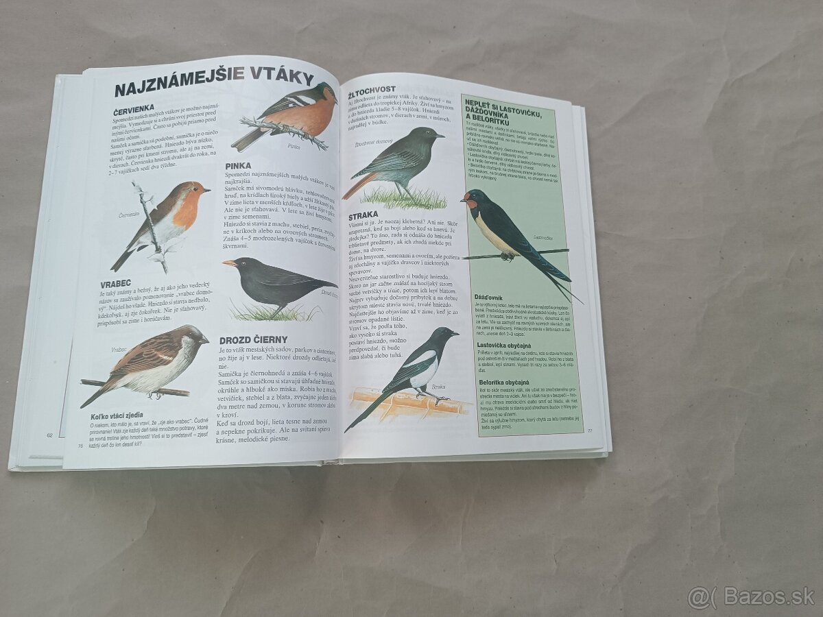 Renée Kayser: Priateľ lesa - 14