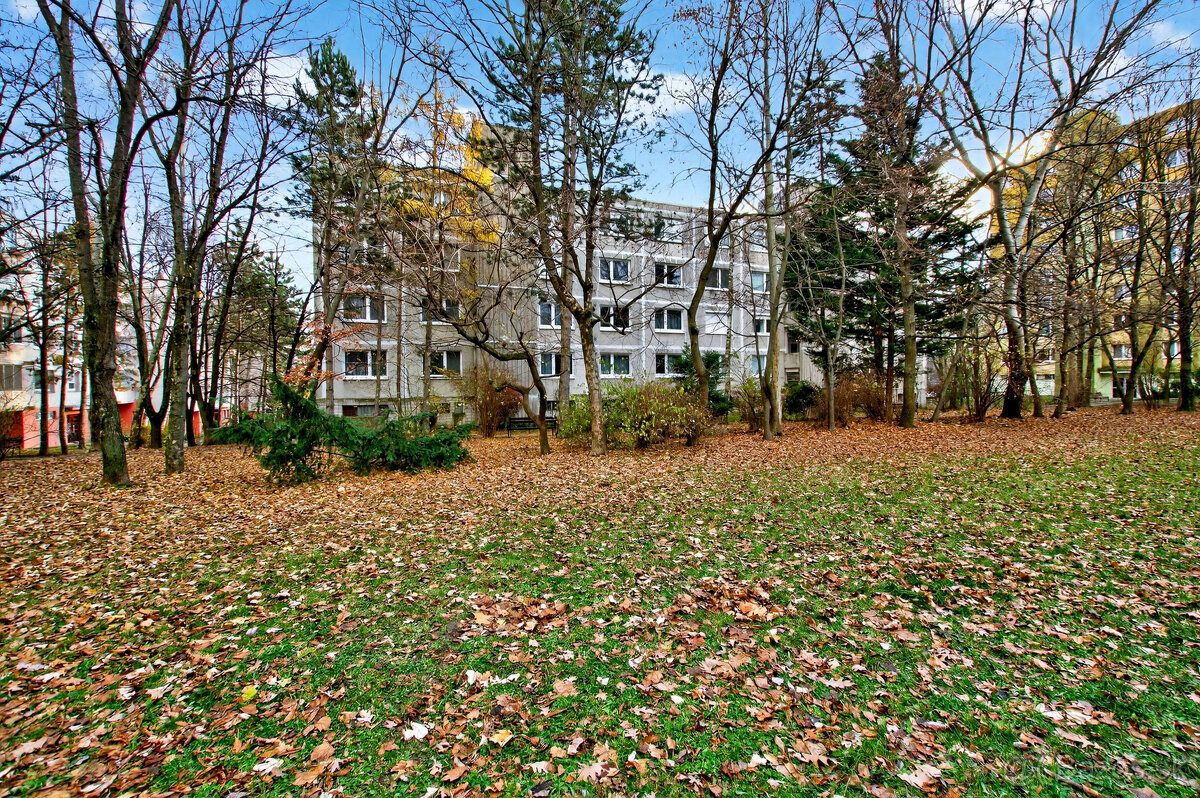 Predaj 2-izbový byt po čiastočnej rekonštrukcii, Dúbravka Pr - 14