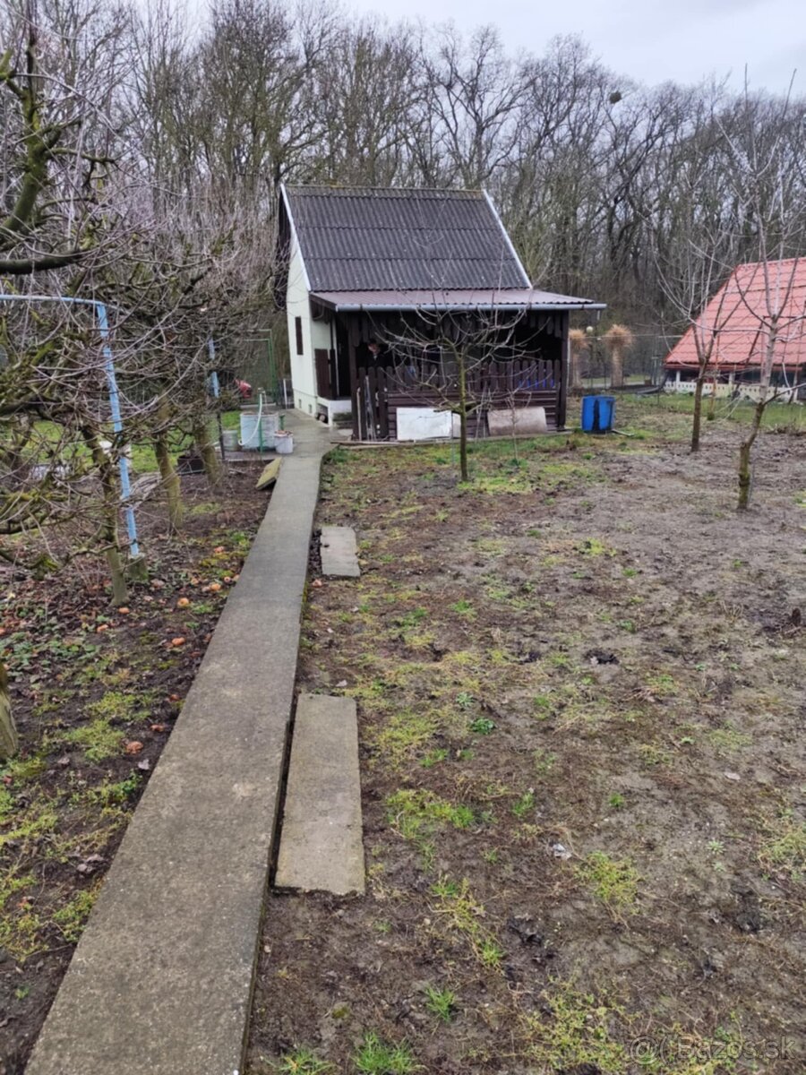 Záhrada vo Veľkom Mederi - 14