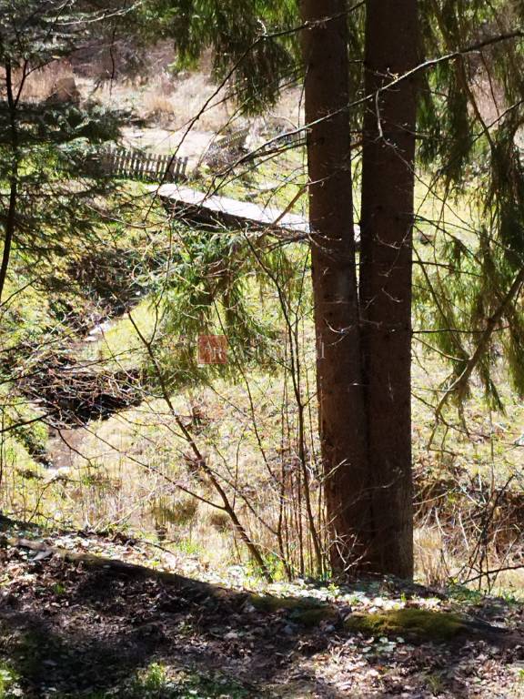 CHATA pod lesom, Veľká Lúka pri kúpeľoch Sliač - 14