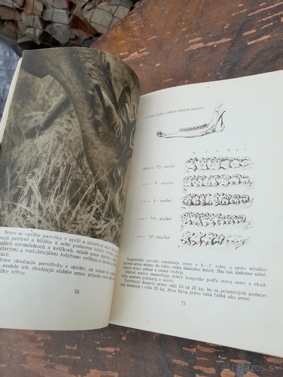 Predám knihu polovníctvo v obrazoch - 14