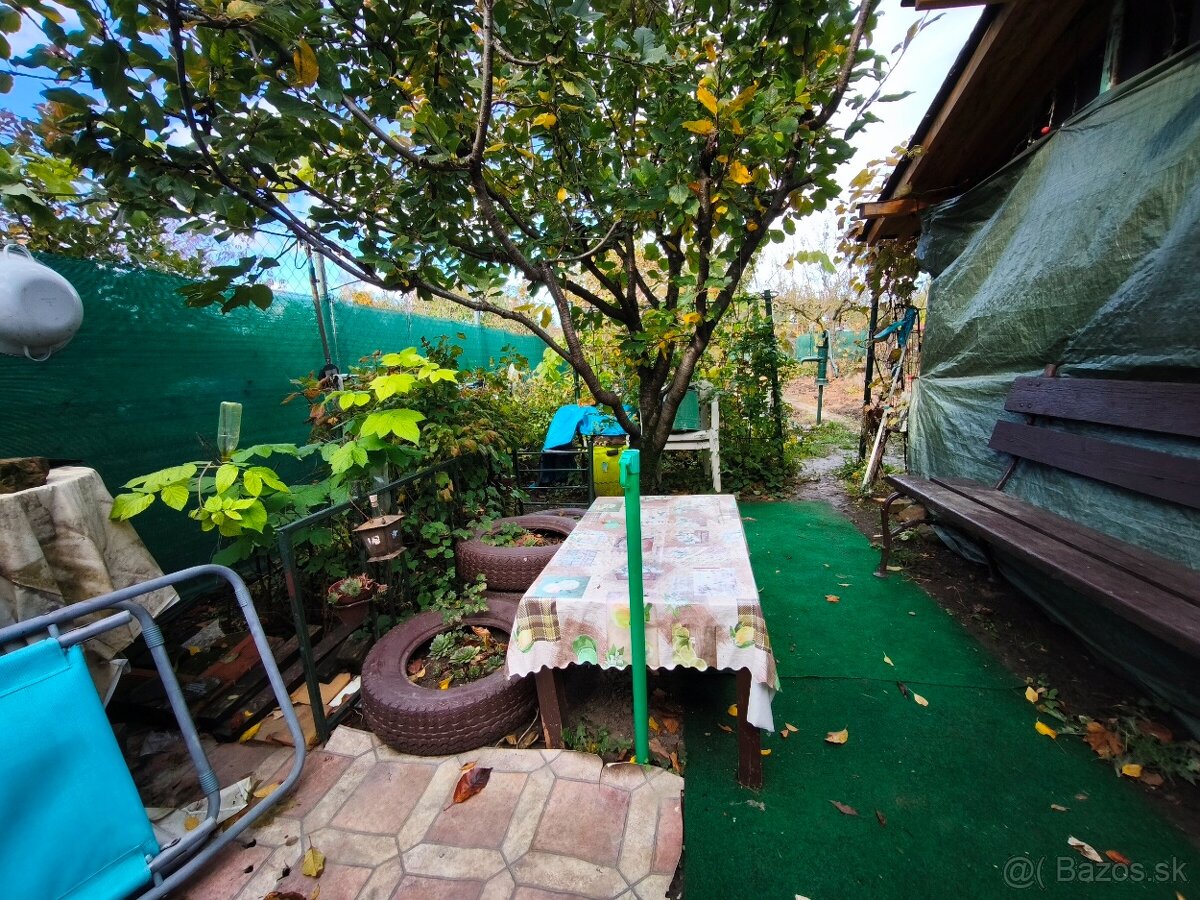 Udržiavaná záhrada so studňou a chatkou - 14