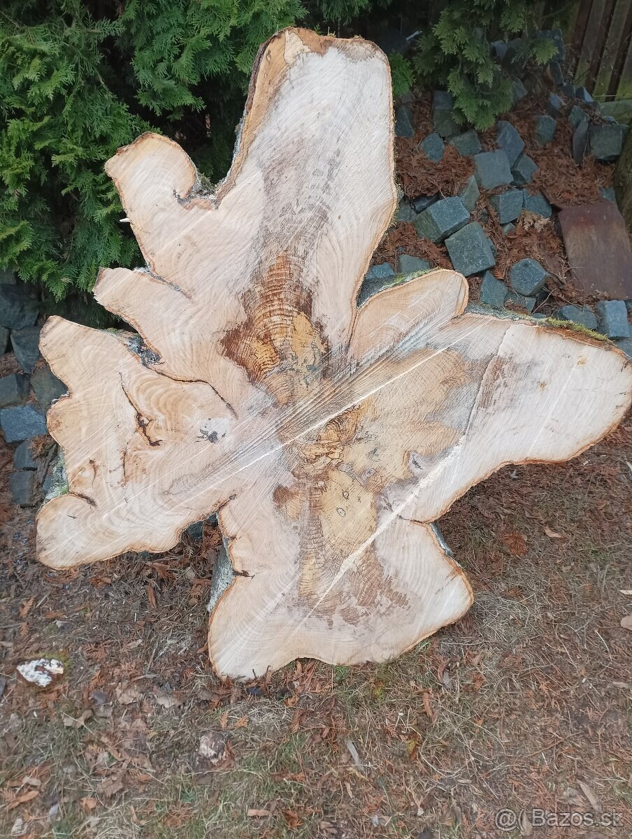 Suché koláče z Habra a Buka - 14