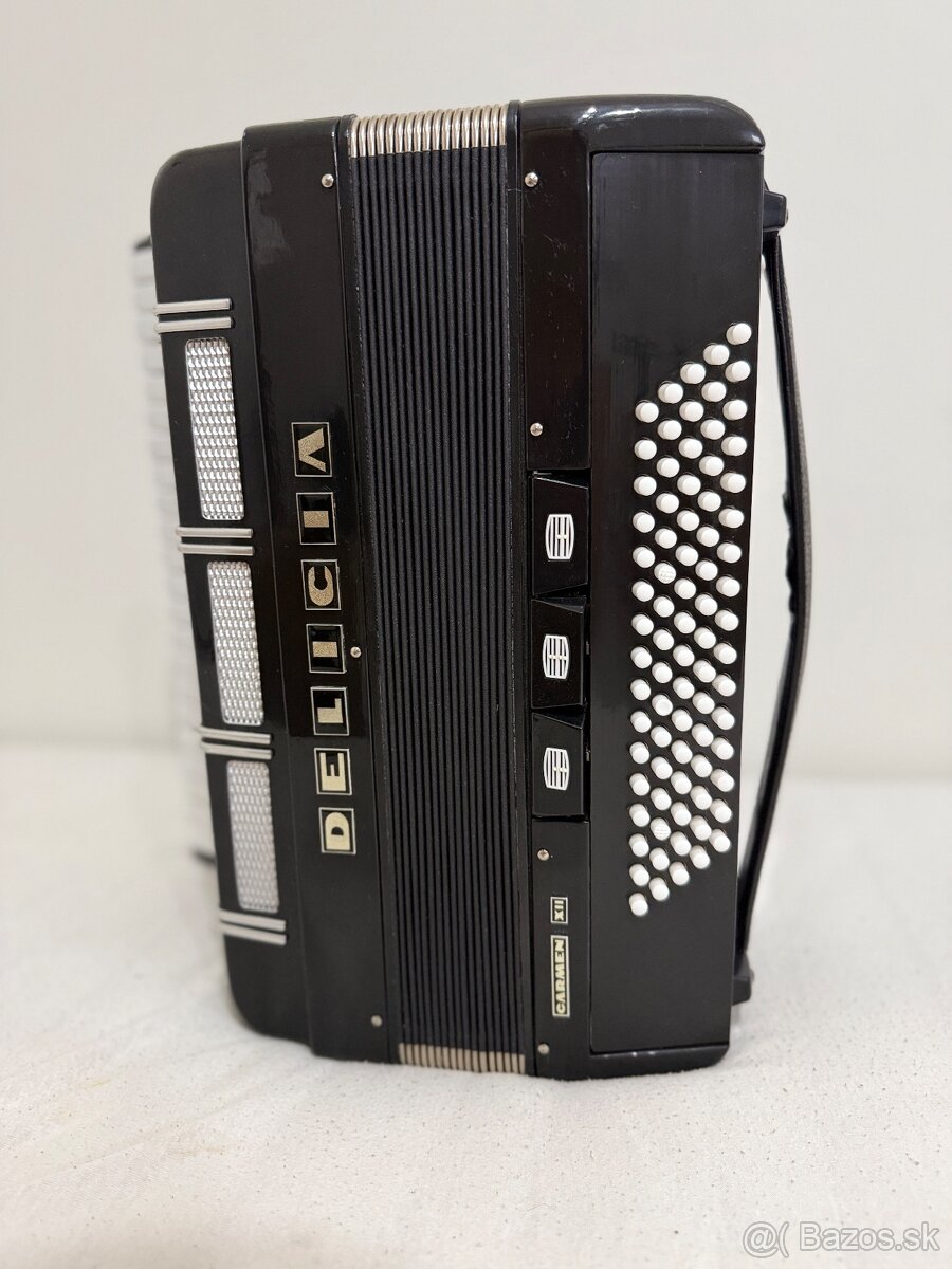 Akordeón DELICIA Carmen XII - 14