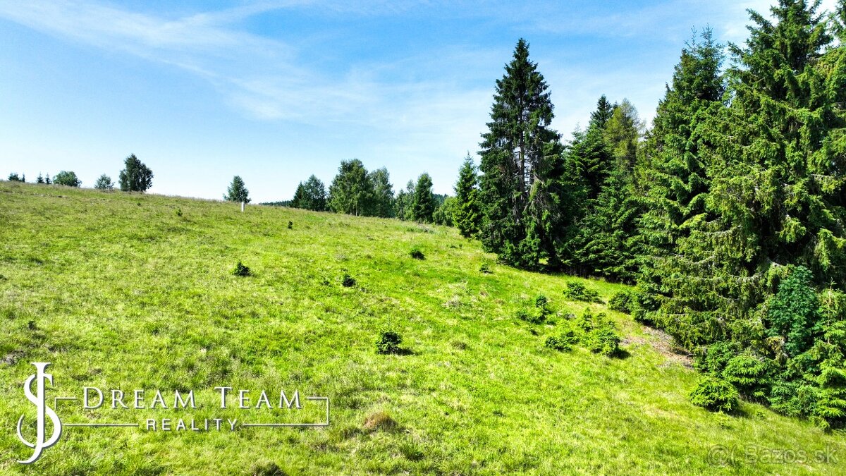 Stavebný pozemok 2.2ha v krásnom prostredí Látky okr. Detva - 14