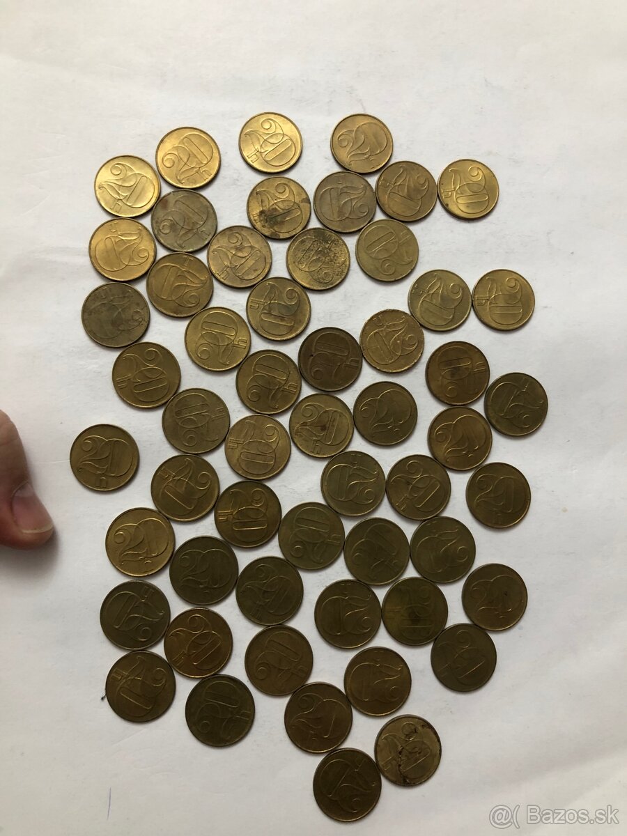 Mince (2kčs/20h) - 14