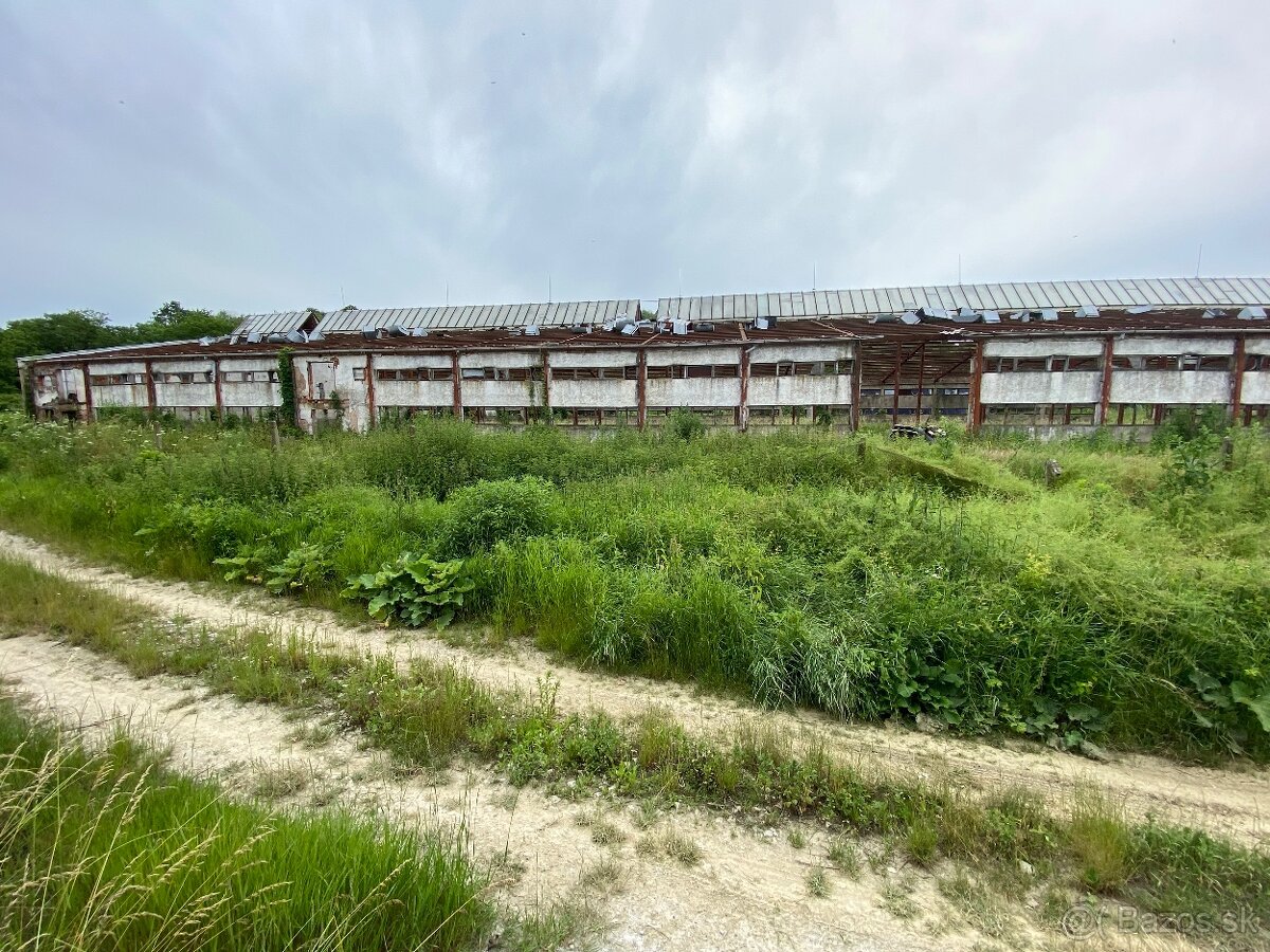 Hala s oceľovou konštrukciou 2878m2 , Rešica, sklad - výroba - 14