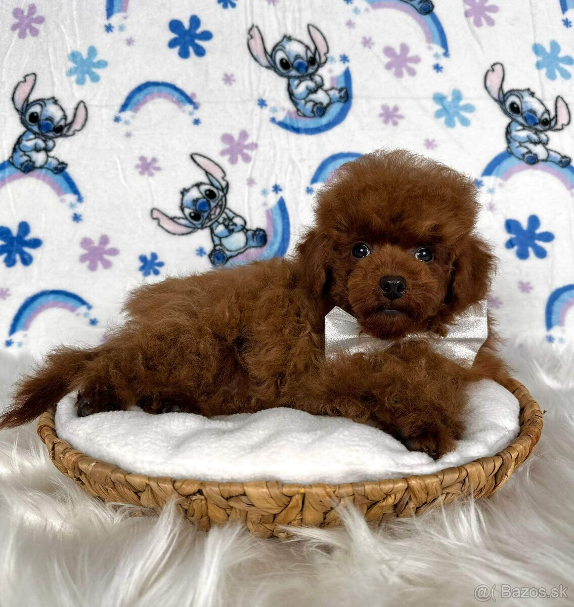 Pudel toy/Pudlík toy - red brown psíček - 14