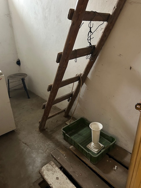 Na predaj: Rodinný dom s veľkým pozemkom v pokojnej lokalite - 14