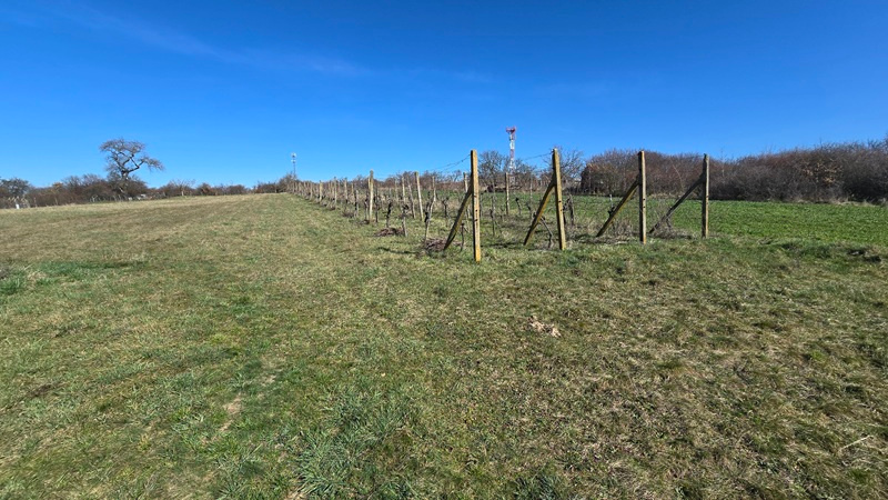 Domček v Žemberovciach spolu s pozemkom o výmere 3778 m2 - 14