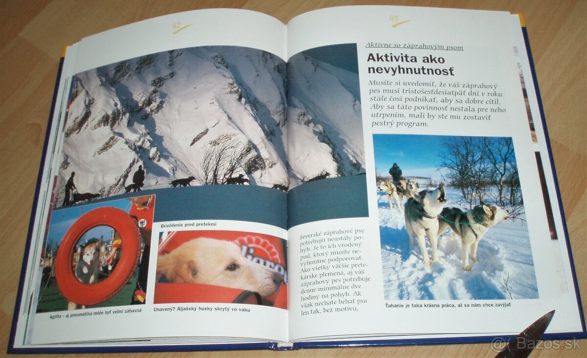 Záprahové psy - 14