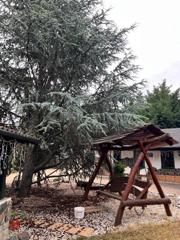 Výnimočná 9-izbová nehnuteľnosť s veľkým pozemkom – ideálna - 14