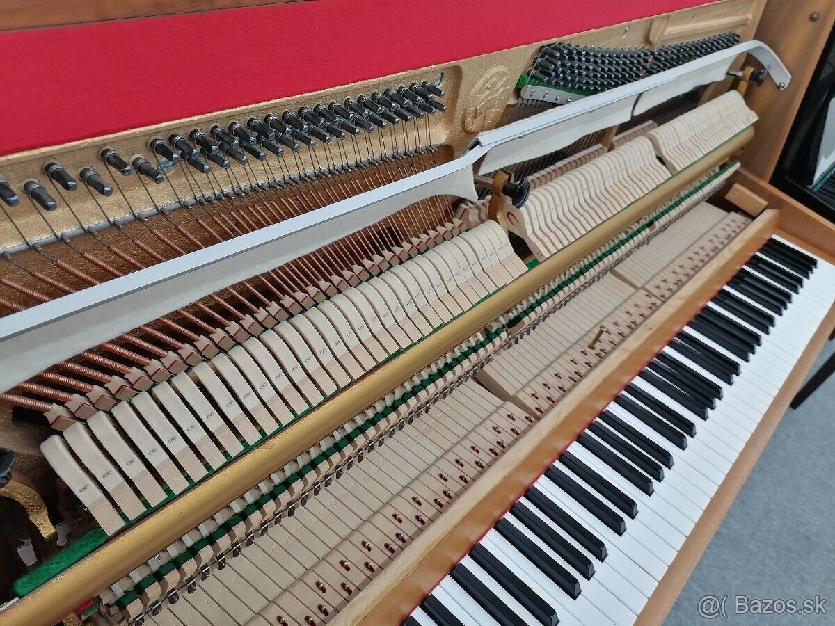 Hohner Piano pre viacero generácie - 14