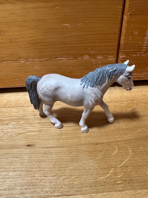 KONIKY( KUPTE SI NAS) - 14