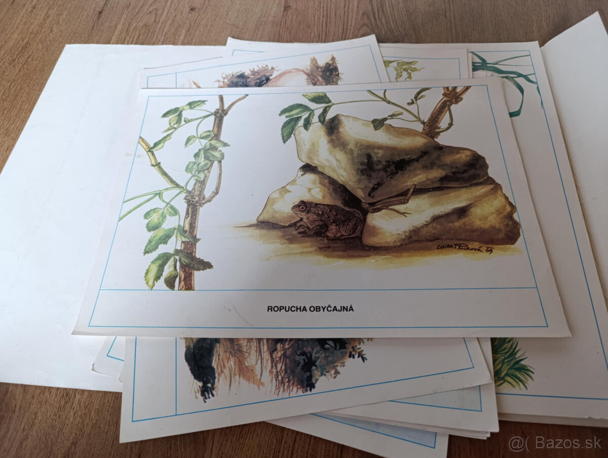 Staré školské pomôcky - 14