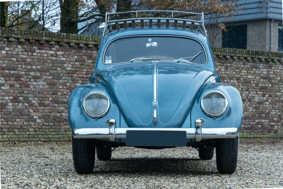 Volkswagen Beetle - 14