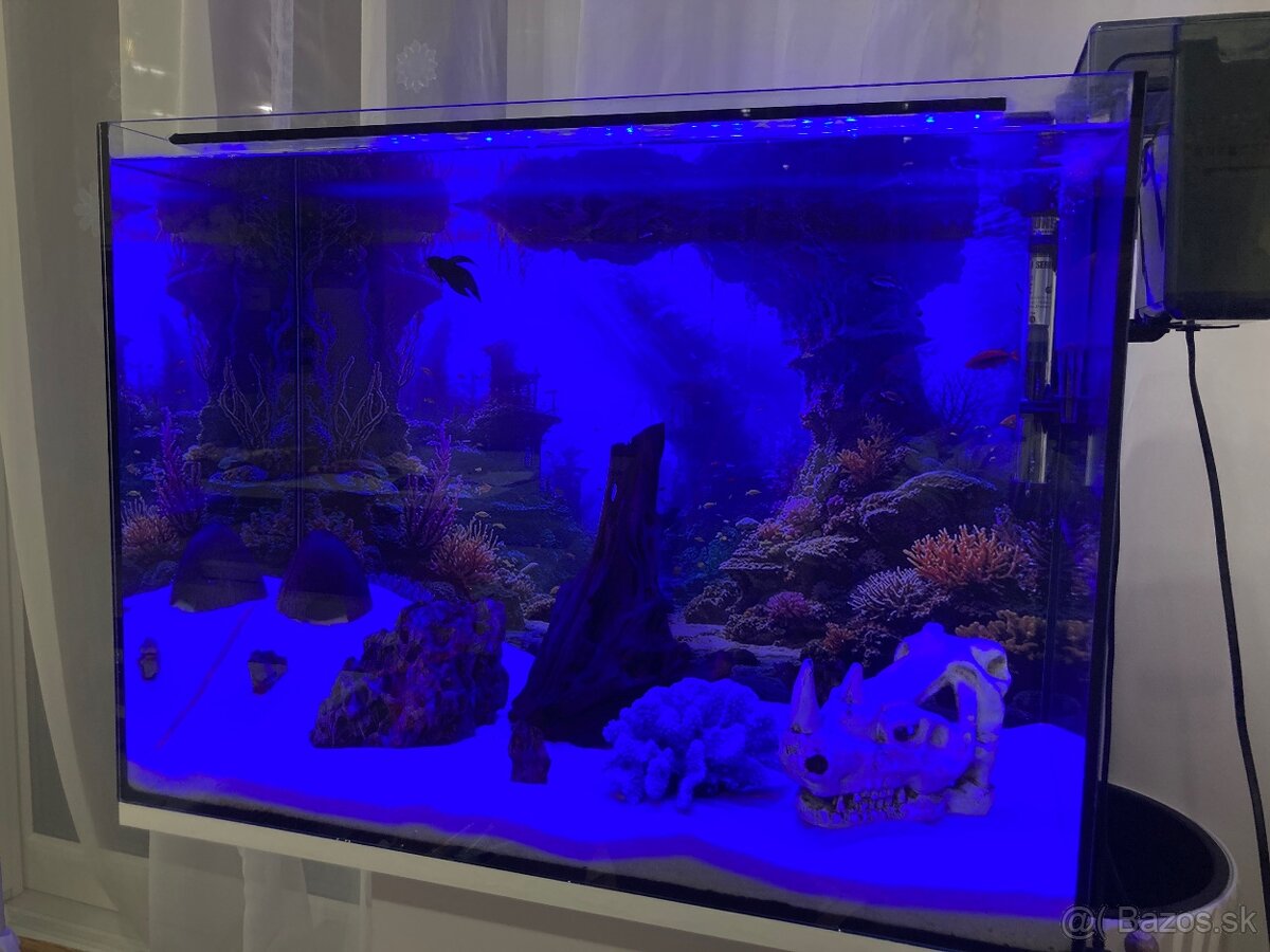 Zariadené akvárium 75l - 14