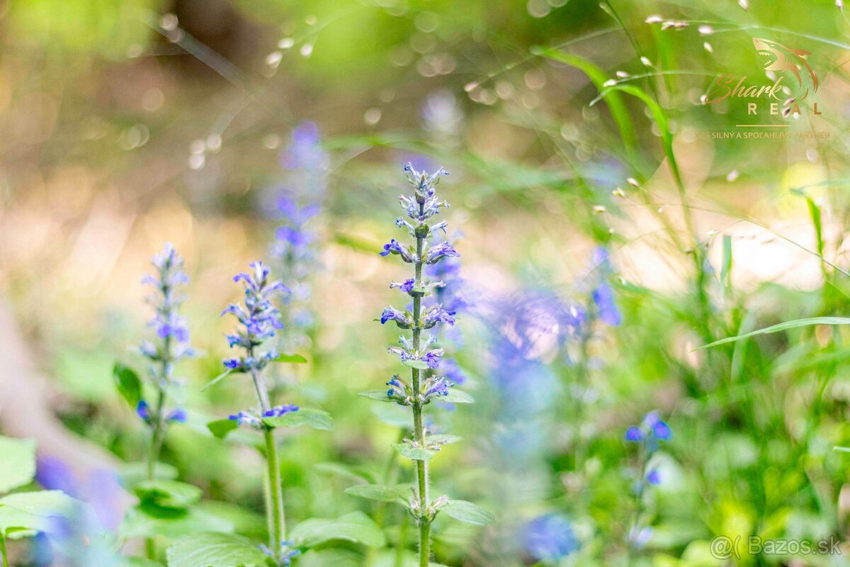 Pozemok v lone prírody s potôčikom– ideálny pre vašu vysníva - 14
