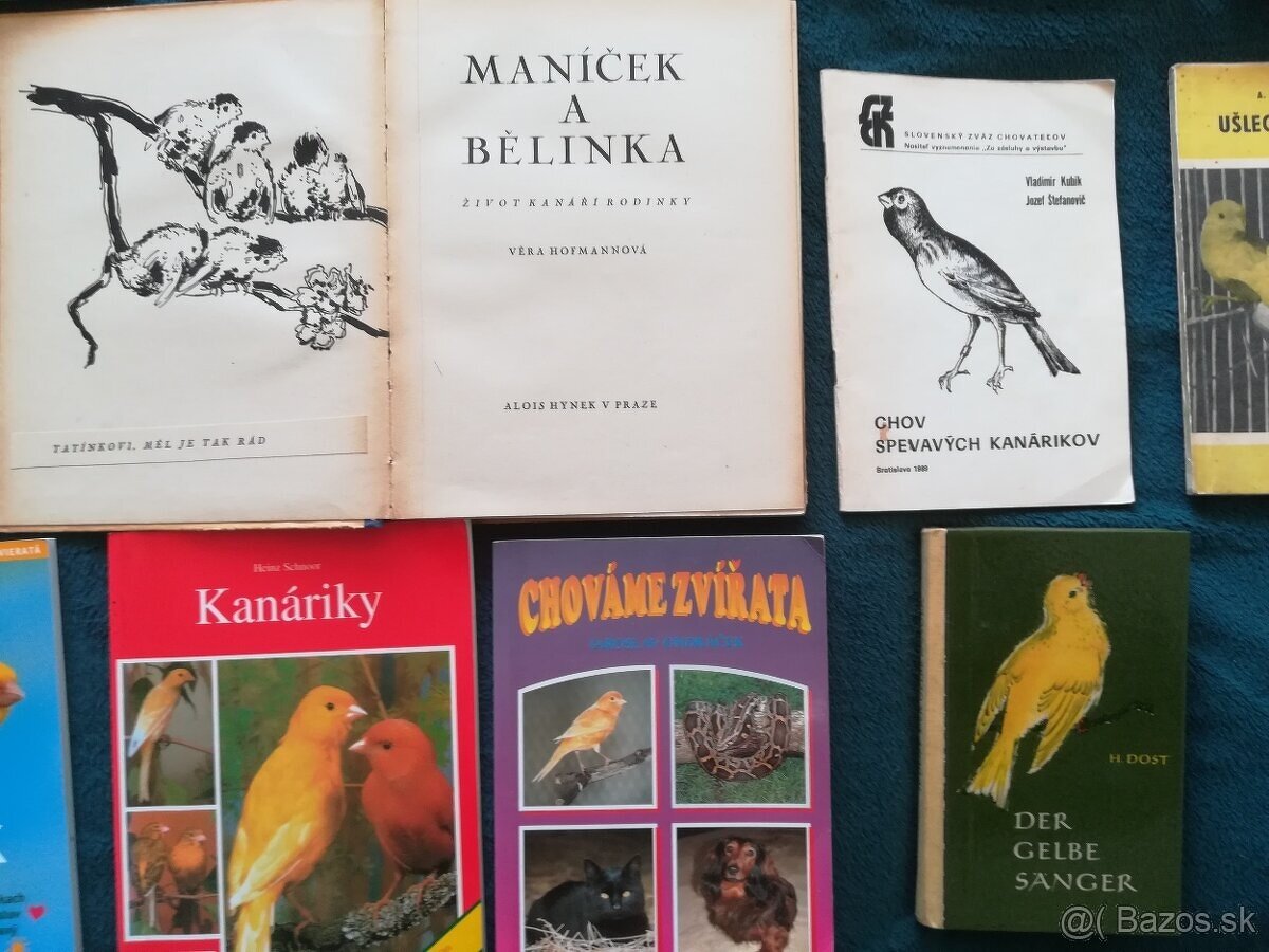 Predám knihy o kanárikoch - 14