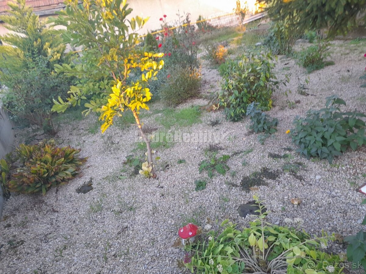 4 izbový dom Dvory nad Žitavou - 14