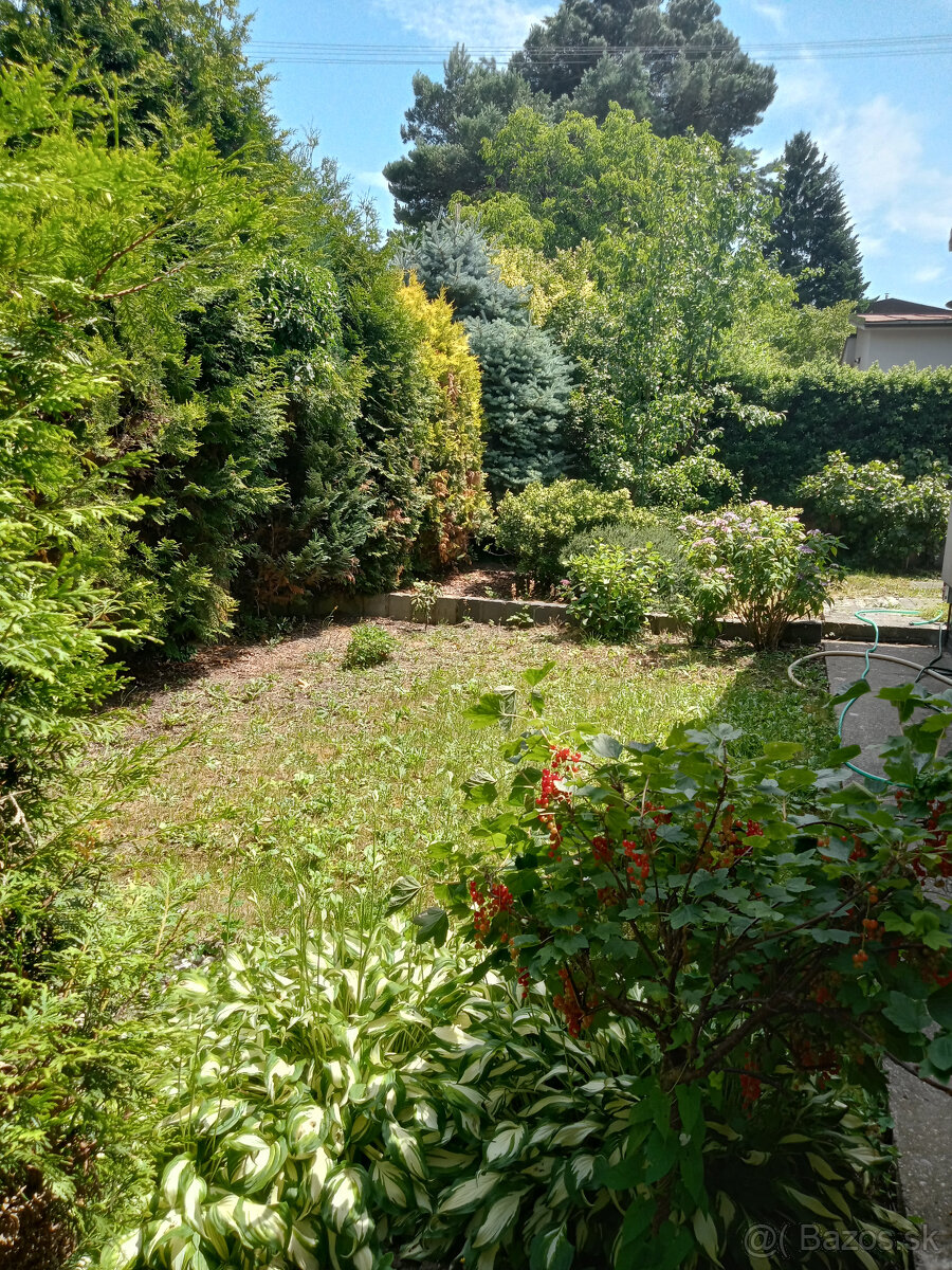 Rodinný dom na prenájom, Staré mesto, 4 izby, krb, zahrada - 14