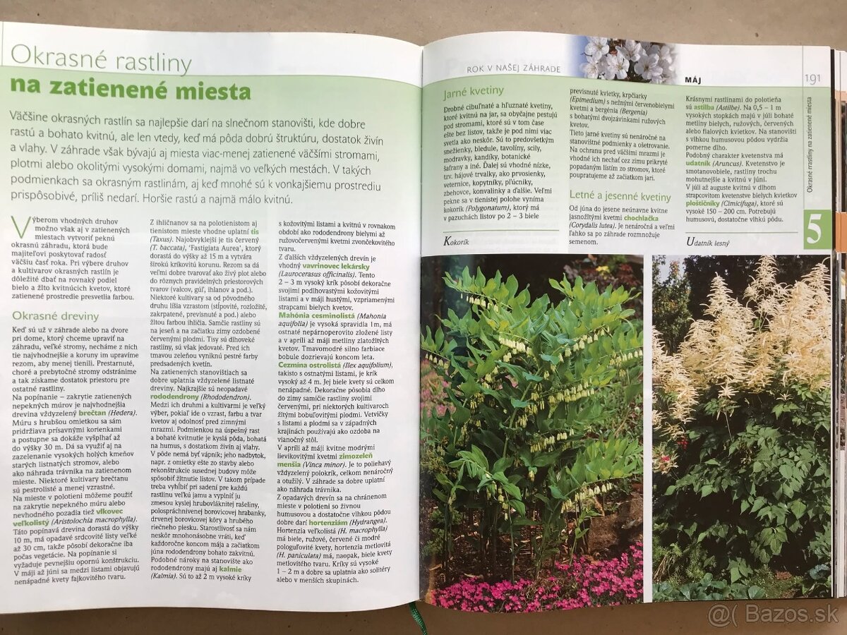 Bukovský, Psy, Golf Fyzika, Malý atlas húb, Slovenský futbal - 14