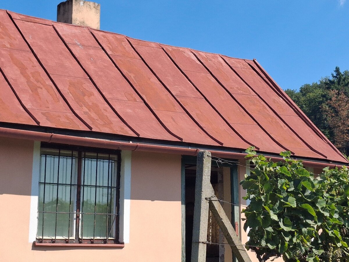 Vinohrad v Tokajskej oblasti - 14