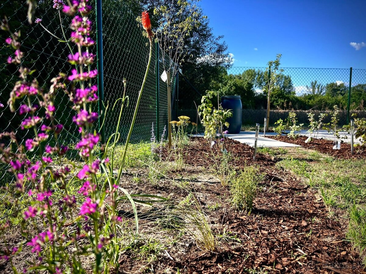 Záhrada na predaj v Nových Zámkoch. - 14