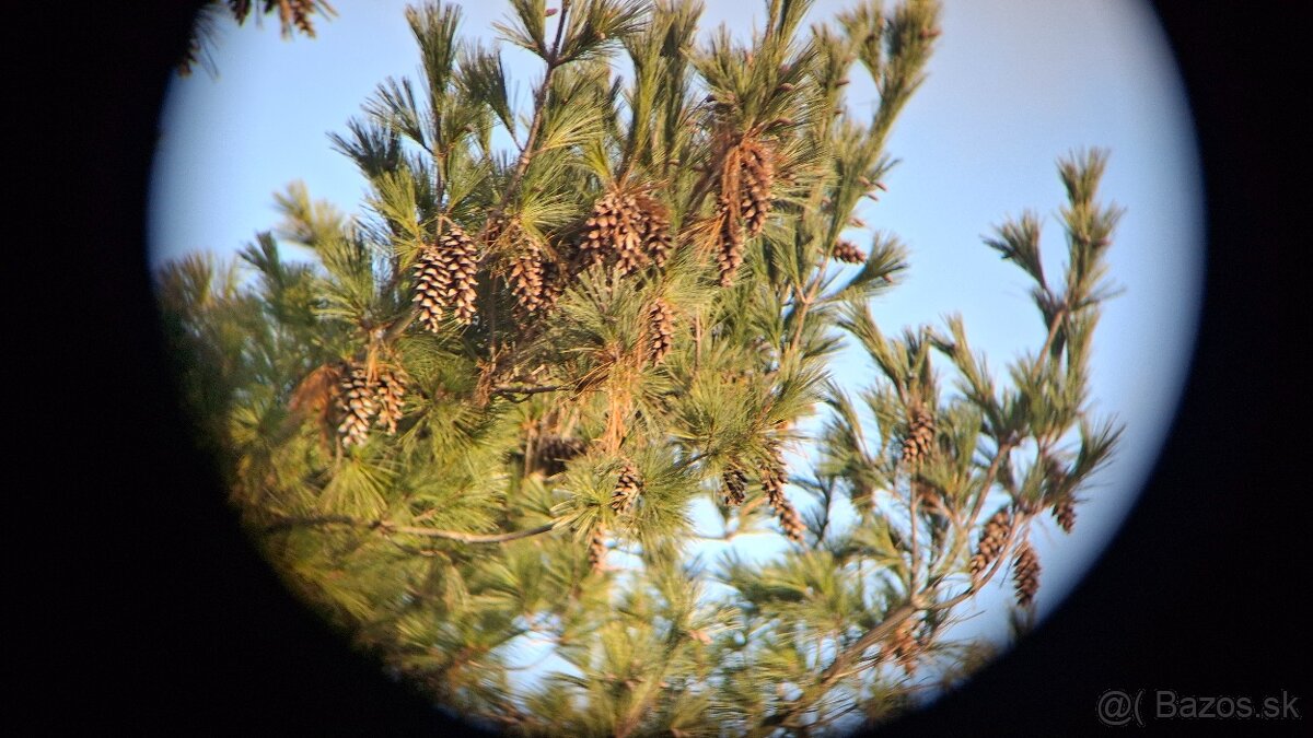 Ďalekohľad BPC 15X50 Dioptex - 14