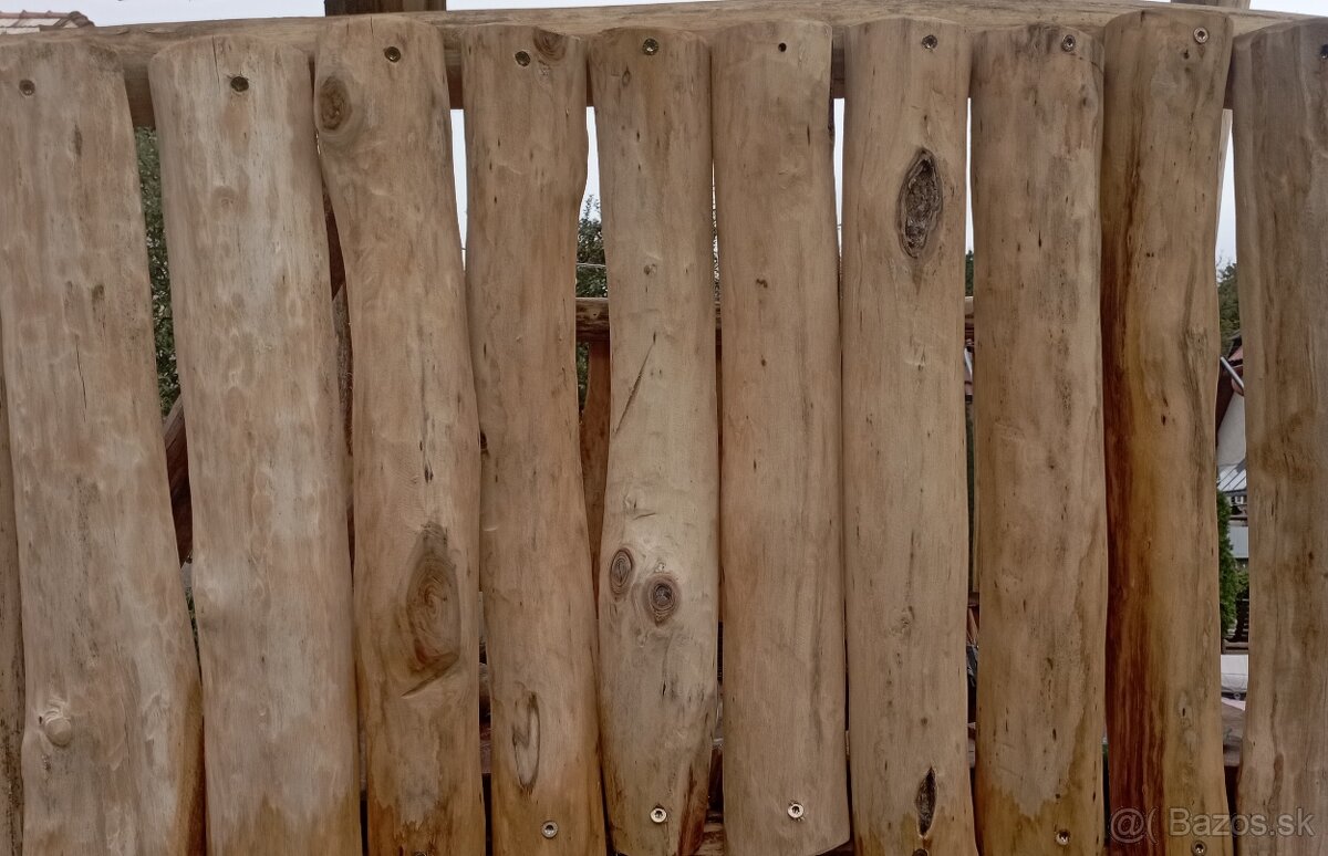 Agát, Agátové ploty - 14