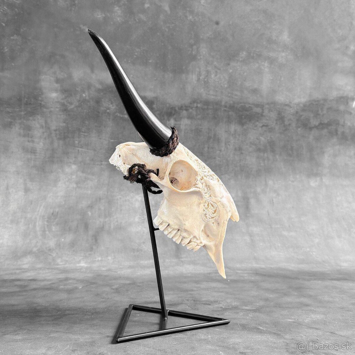 Autentická biela vyrezávaná lebka kozy - motív veľký lotos - 14