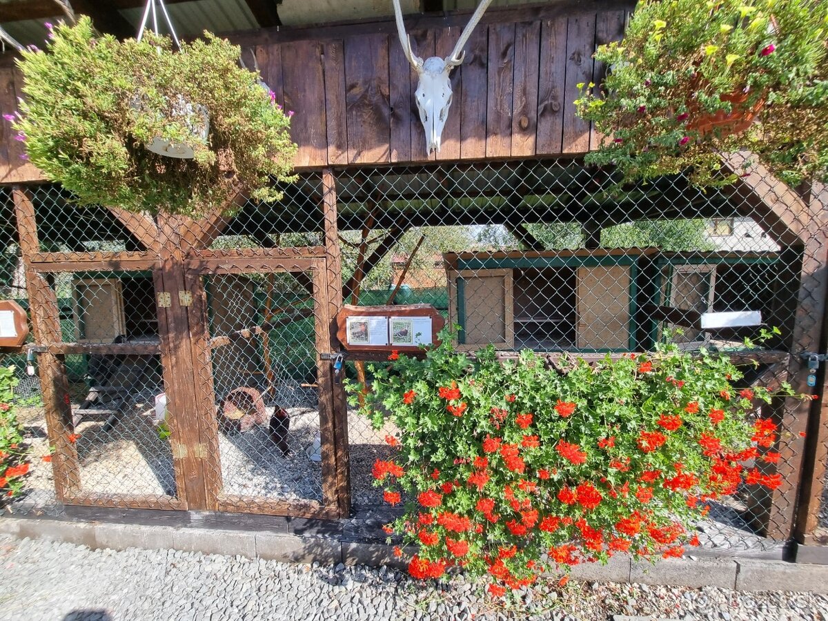 Voliery , klietky - 14