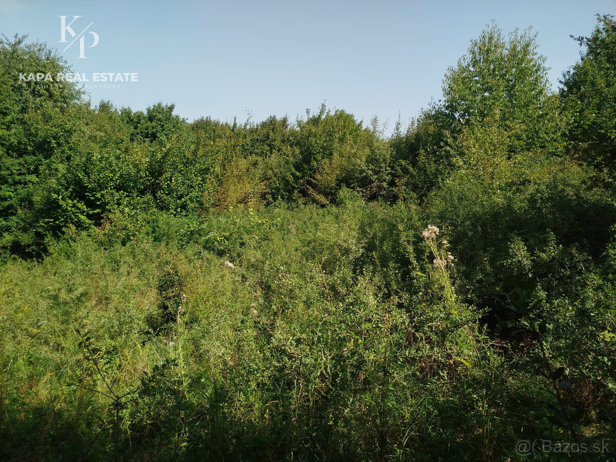 Pozemok na predaj, plocha 4607 m², Veľký Šariš - 14