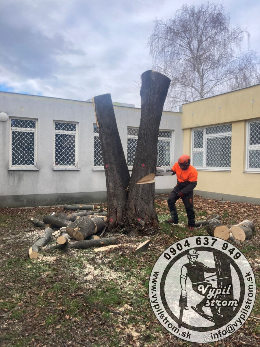 Pilenie a orezavanie stromov, kosenie a udrzba zahrad - 14