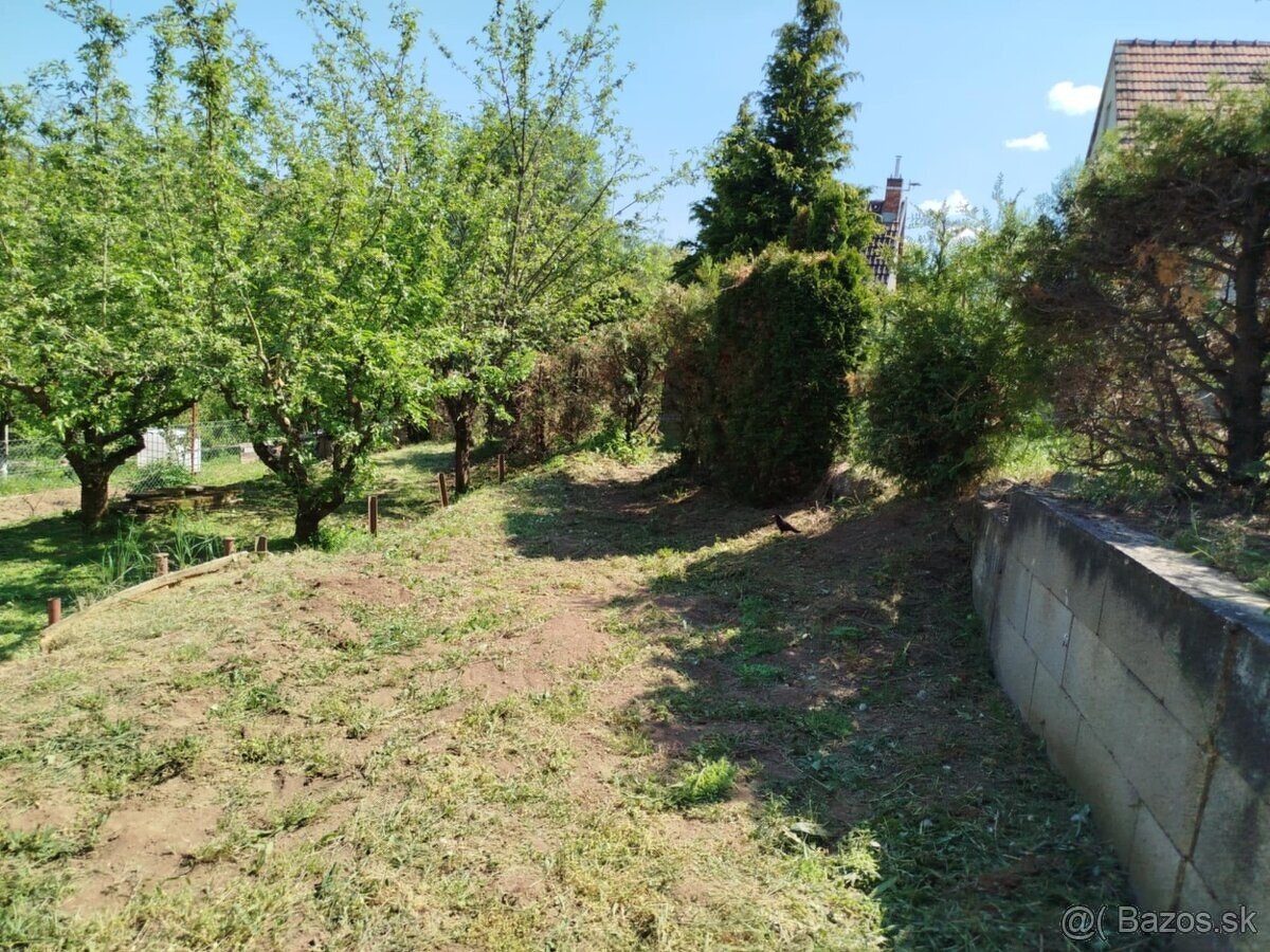 Záhradka s chatou Darmovise - 14