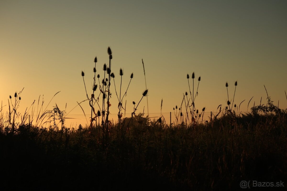 Canon PowerShot G1X Mark III (top stav) - 14