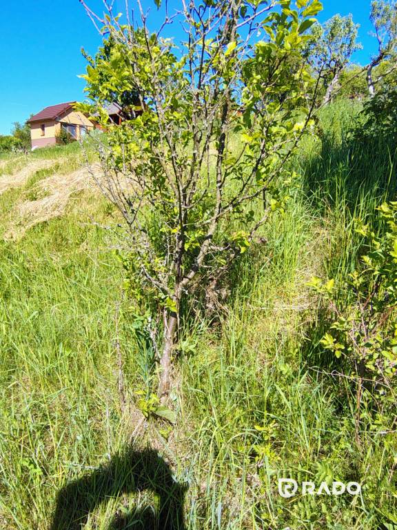 RADO | Na predaj záhrada v meste Myjava - 14
