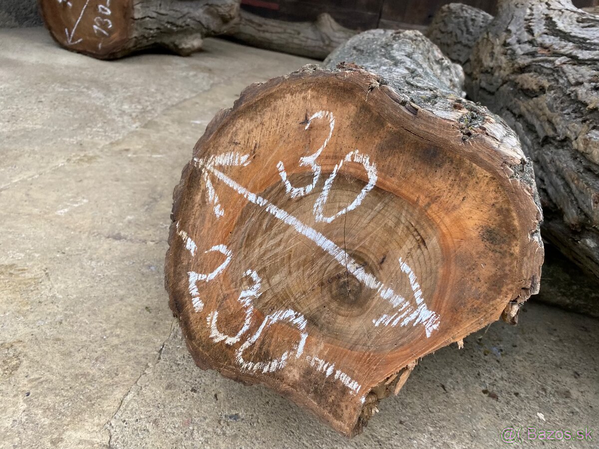 Orechové kmene, guľatina - 14