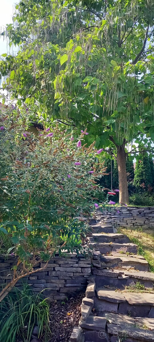 4 izb dom pri Nitre - 14