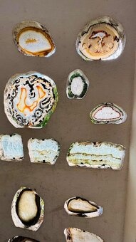 Nova residencni vila v tropech, 180 m2, Yucatan - 14