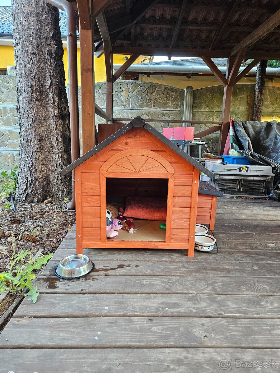 Pomeranian Mini - 14