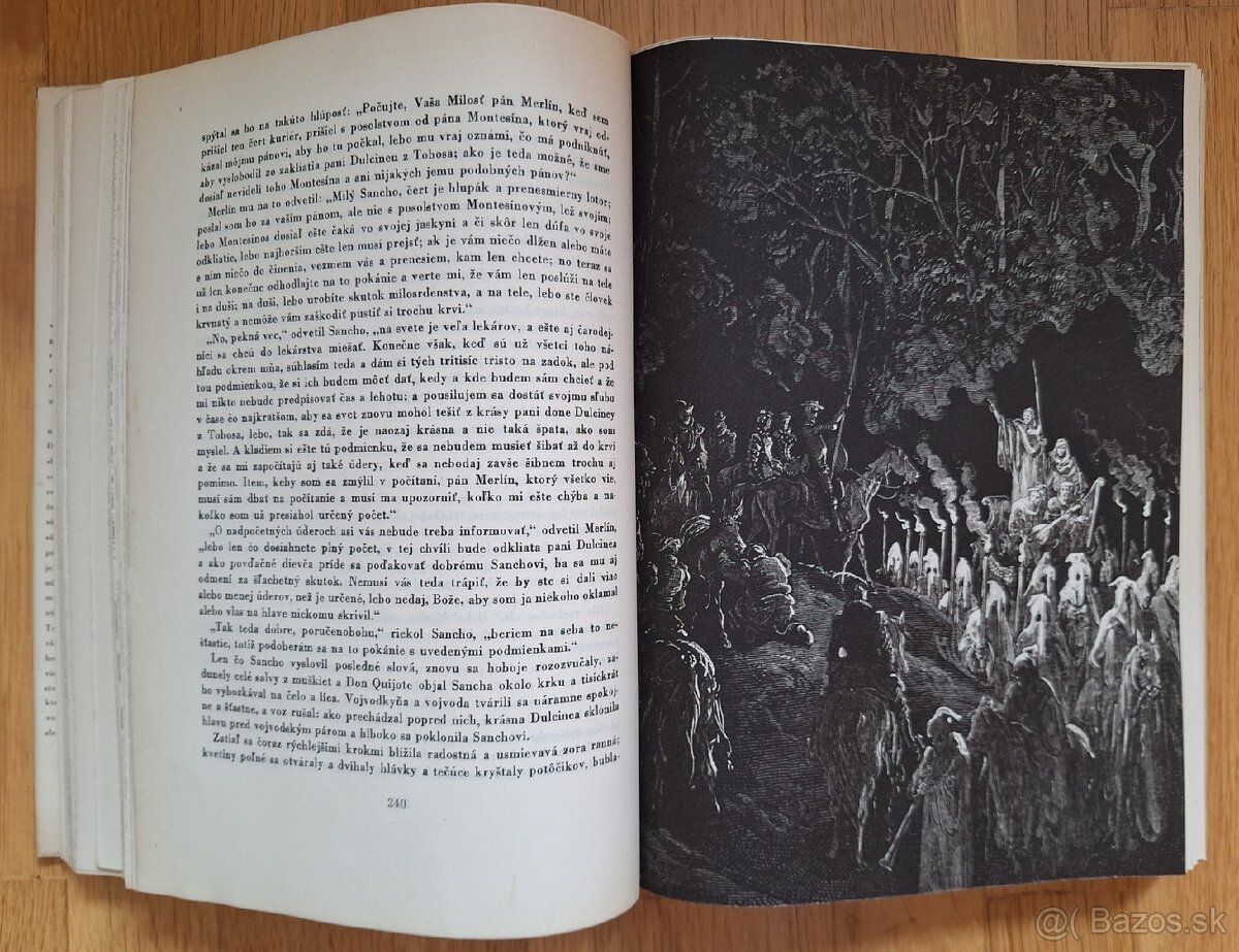 Domyselny rytier Don Quijote de la Mancha - 14