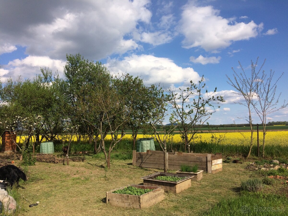 Predám rodinny dom na samote Rad (Rázcestie) - 14